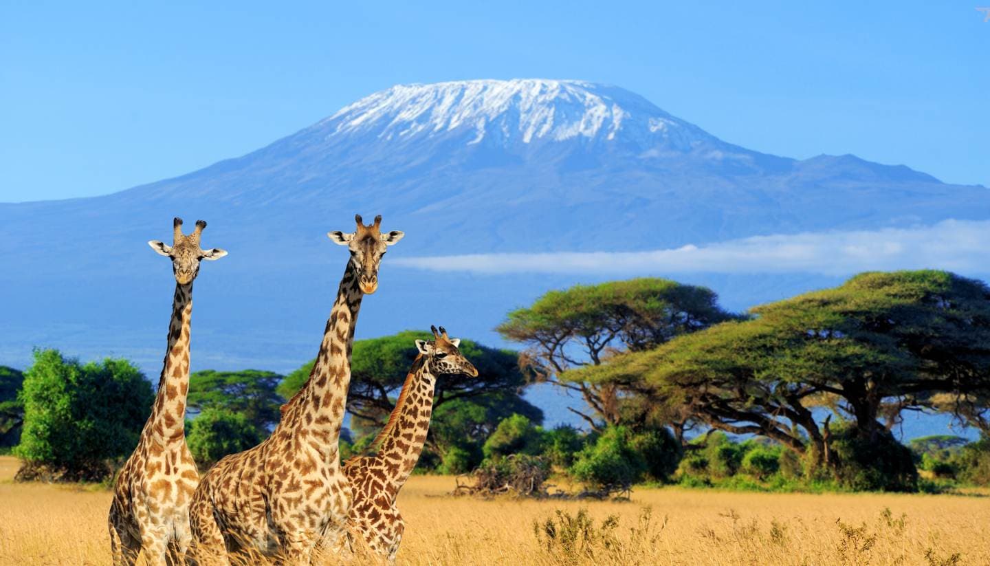 3 Days 2 Nights Amboseli (Sentrim Amboseli)